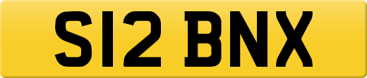 S12BNX